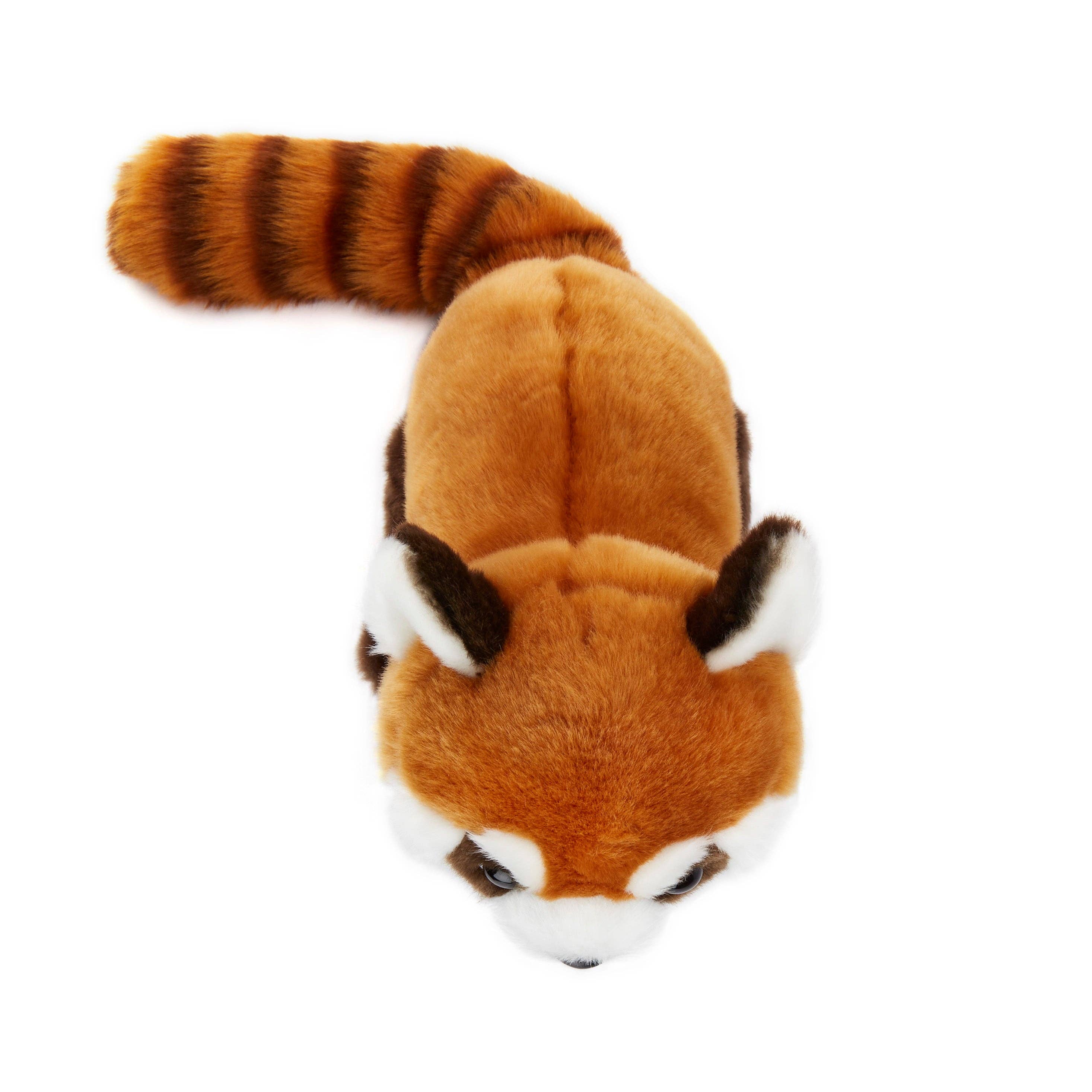 Wildlife Tree - Wholesale Stuffed/Plush Toy - Kids & Baby - 12" Red Panda Stuffed Animal4