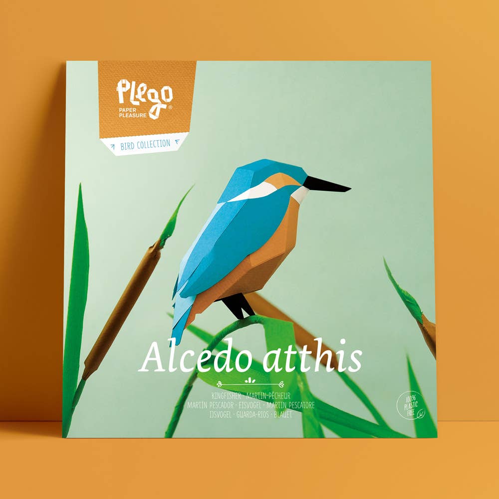 PLEGO - Vente Kit de bricolage - ALCEDO ATTHIS - oiseau en papier