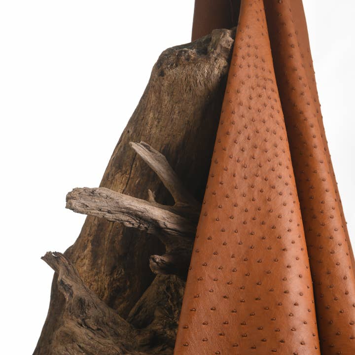 Brun Cognac Strutsläder för wholesale av MAISON SOLER TANNERIE