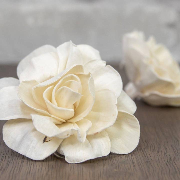 4" Belmont Gardenia (10 Pack) for wholesale by Sola Wood Flowers