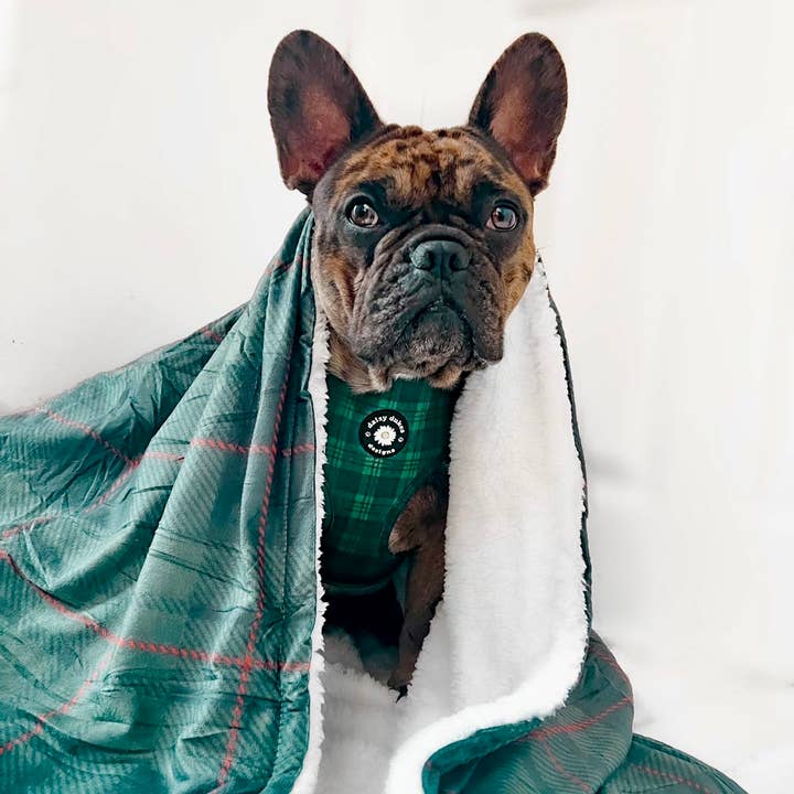 Highland Pine Large Fleece Dog Blanket for wholesale by Daisy Dukes Designs