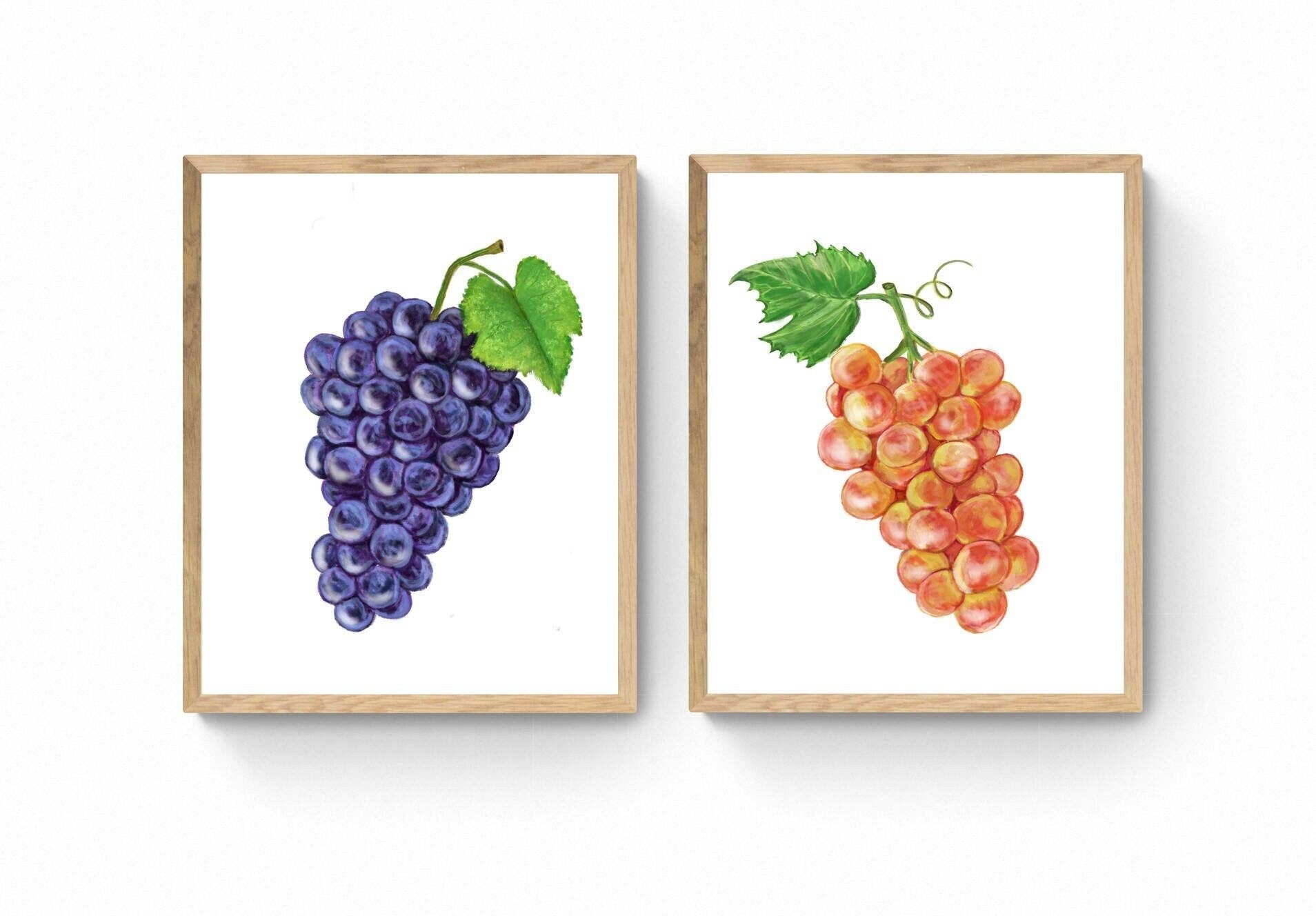 MerikaArt – Impressão artística por atacado – Impressão de Arte de Uva Moscatel Rosa e Preta, Arte de Vinho, Pintura de Parede de Cozinha, Decoração de Sala de Jantar, Ilustração de Fruta, Decoração de Parede de Casa de Campo