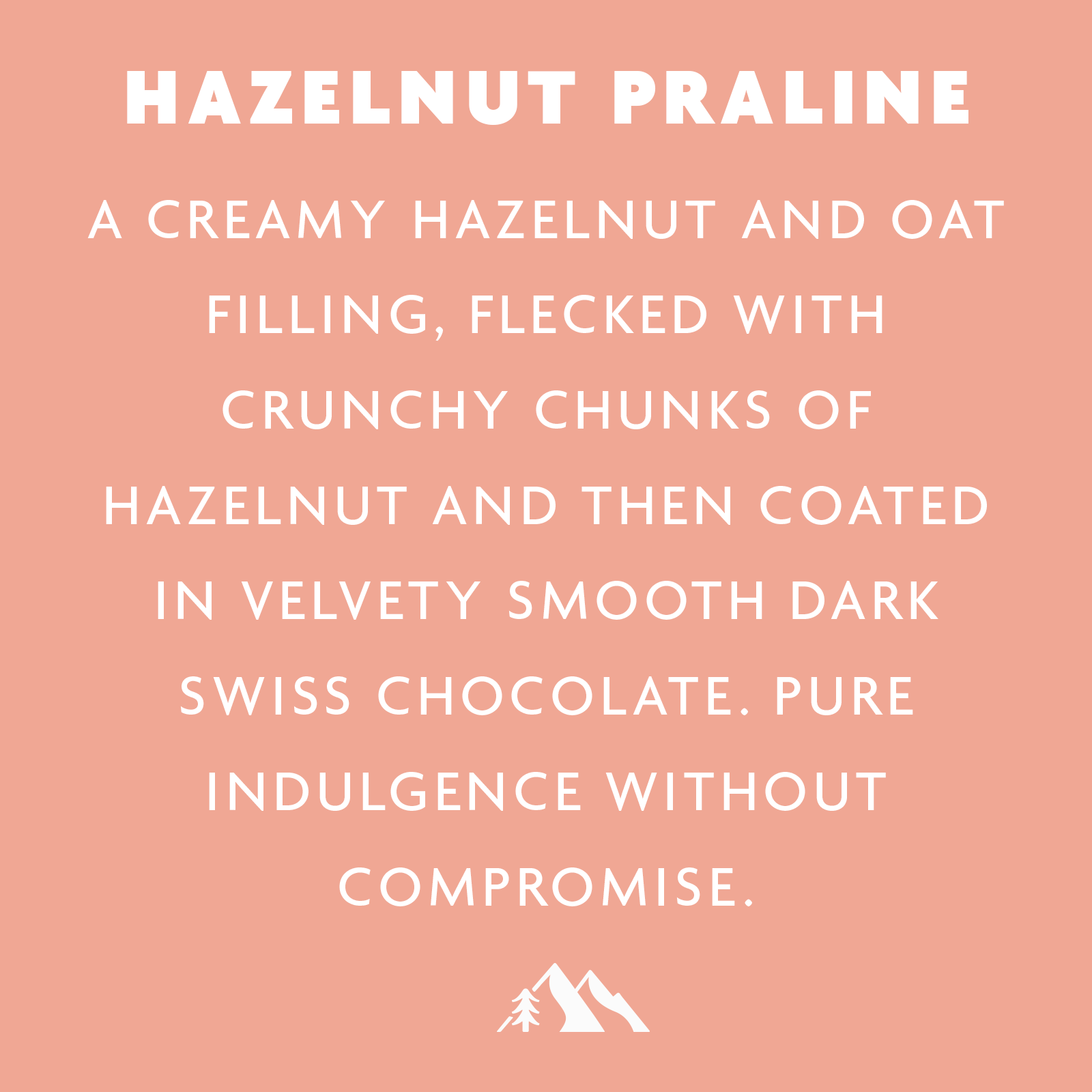 Rhythm108 - Wholesale Chocoladereep - Vegan hazelnootpraliné reep met pure chocolade 33 g5