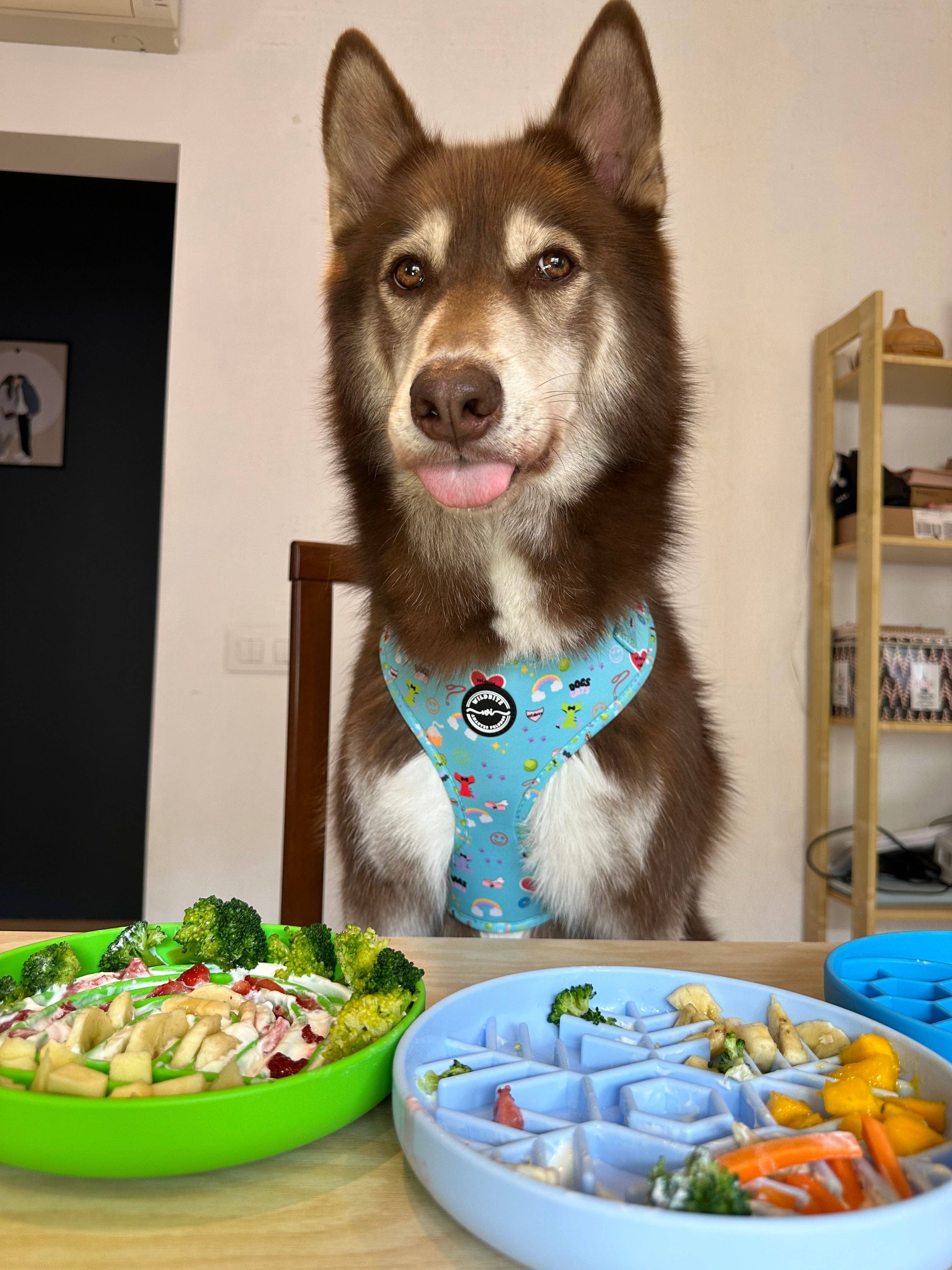 Wildbite Amantes Peludos – wholesale Matmatta för husdjur – Hund – Mörkgrön slickmatta för hund3