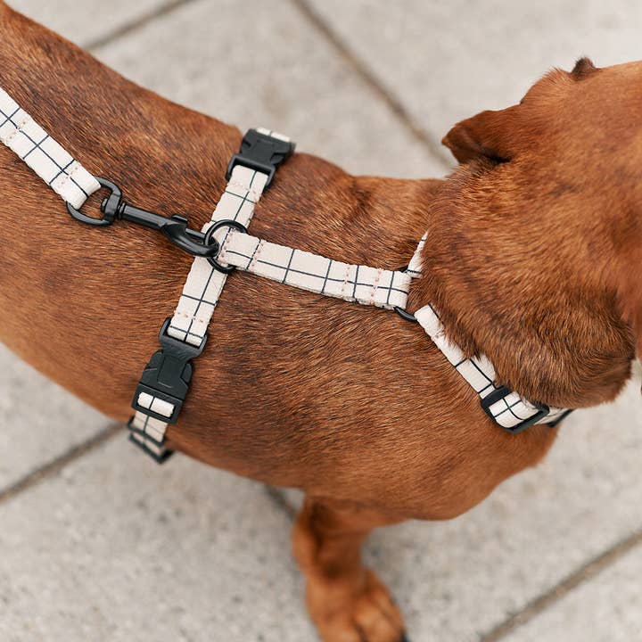 CAFIDE – Großhandel Haustiergeschirr – Hund – Geschirr aus recyceltem PET, Linea Beige Design, Juno
