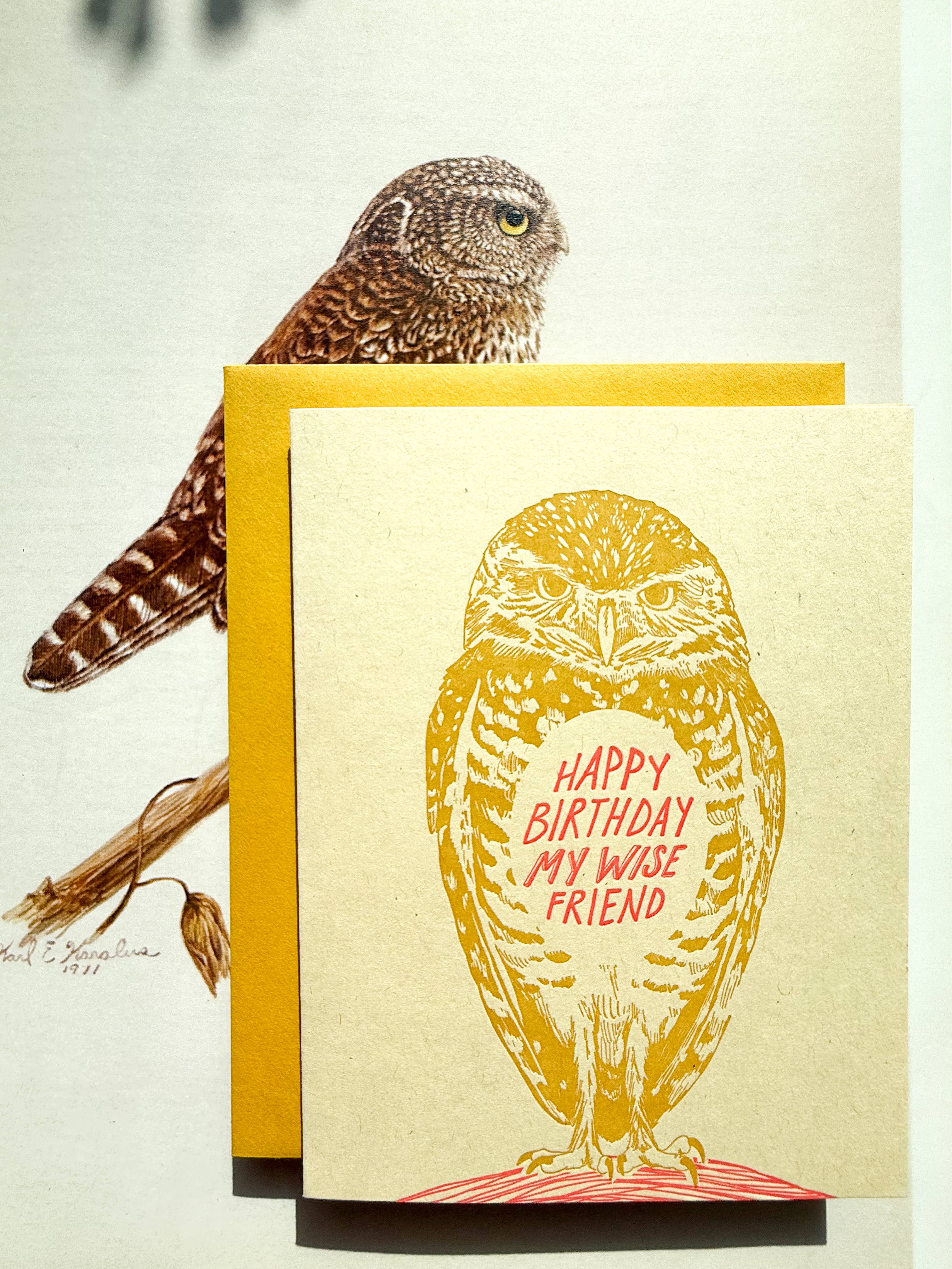 Blackbird Letterpress - Wholesale Birthday Card - happy birthday wise friend owl card1