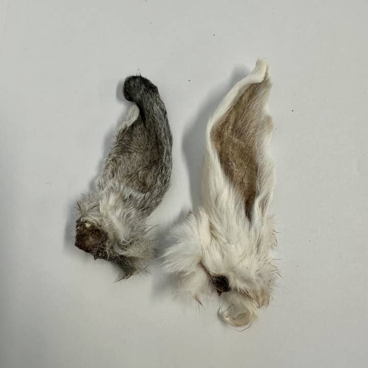 Rabbit Ear - Dehydrated, Hair-On for wholesale by Hank and Roy LLC