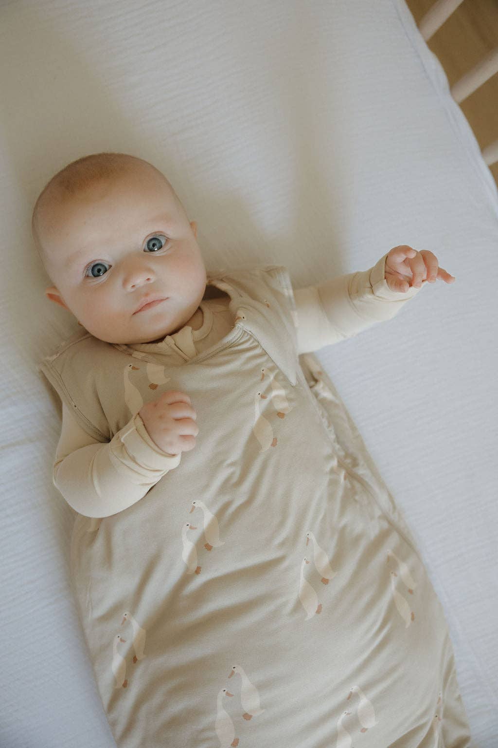 Forever French Baby - Wholesale Sleepsack - Baby - Bamboo Sleep Sack | Silly Goose4