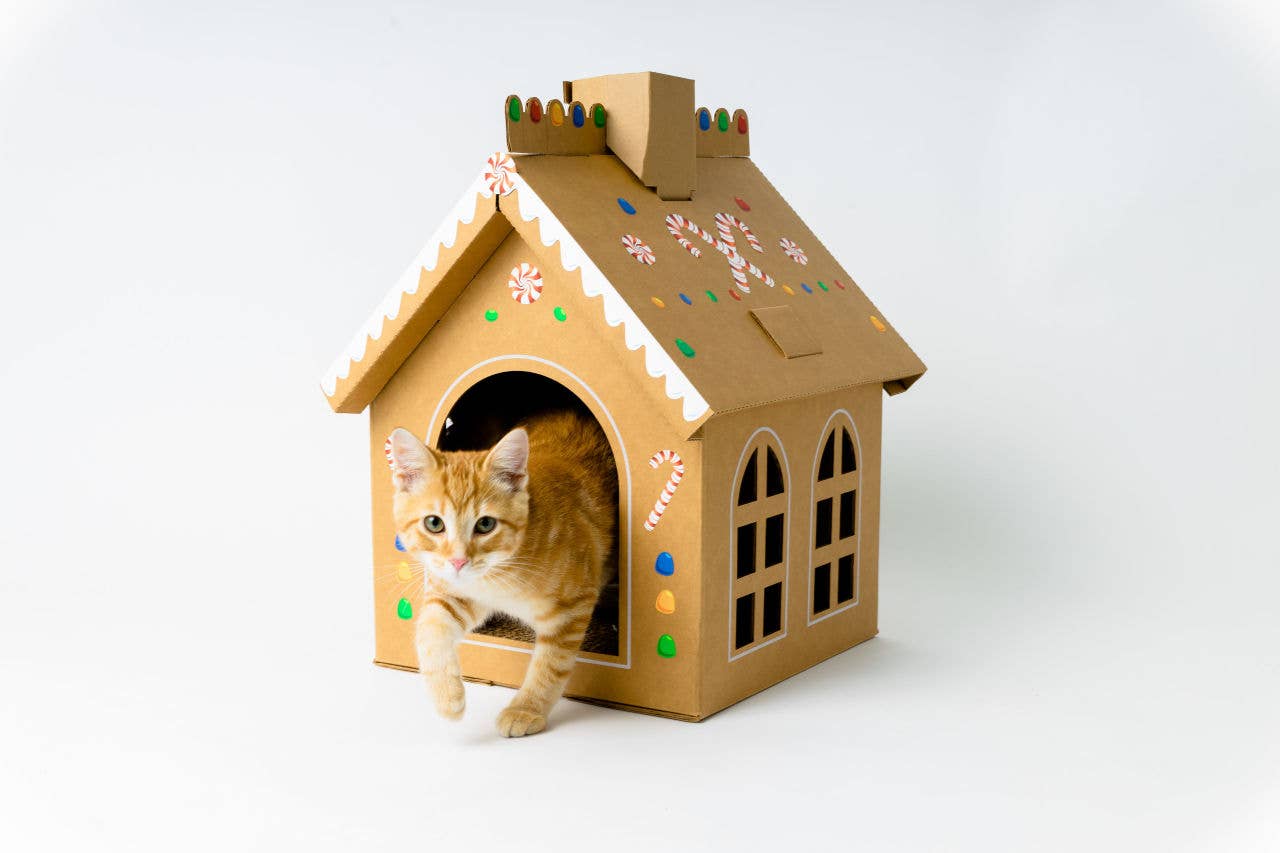 Cat in the Box LLC - Vendita all'ingrosso Tiragraffi - Gatti - Casetta natalizia in cartone con pan di zenzero per gatti13