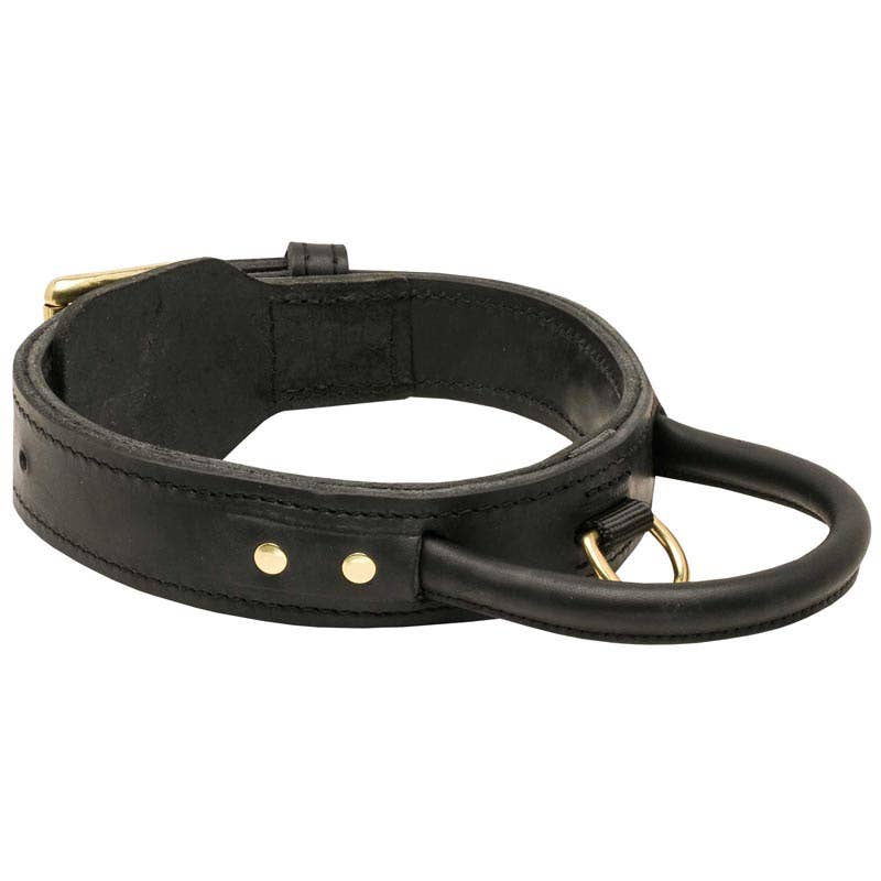 FDT Global LLC - Wholesale Pet Collar - Dog - 2 Ply Leather Dog Collar with Handle0