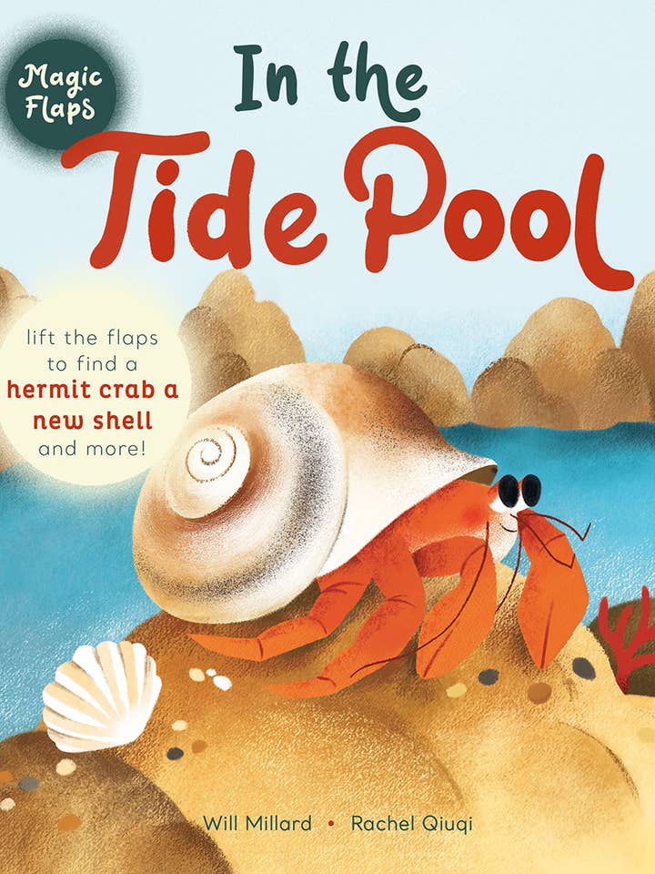 In the Tide Pool: A Magic Flaps Book for wholesale by Abrams