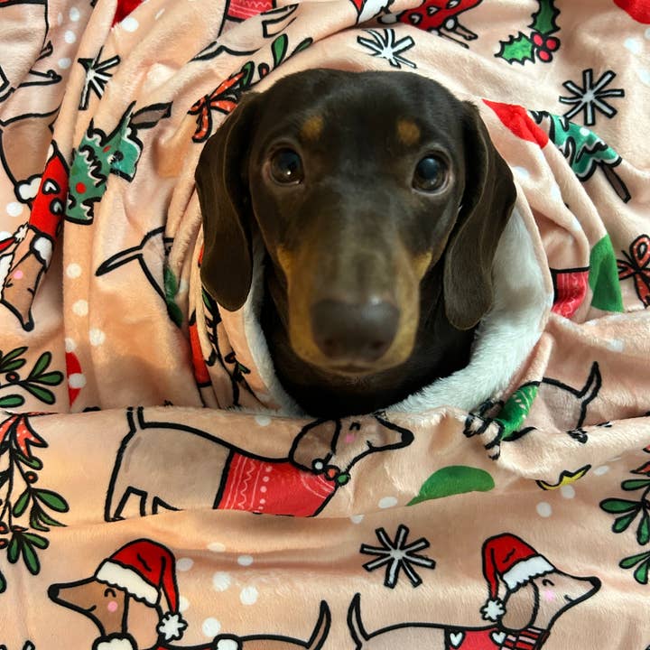 Teckels de Noël - Couverture en fausse fourrure pour la vente par Puppies & Pom Poms