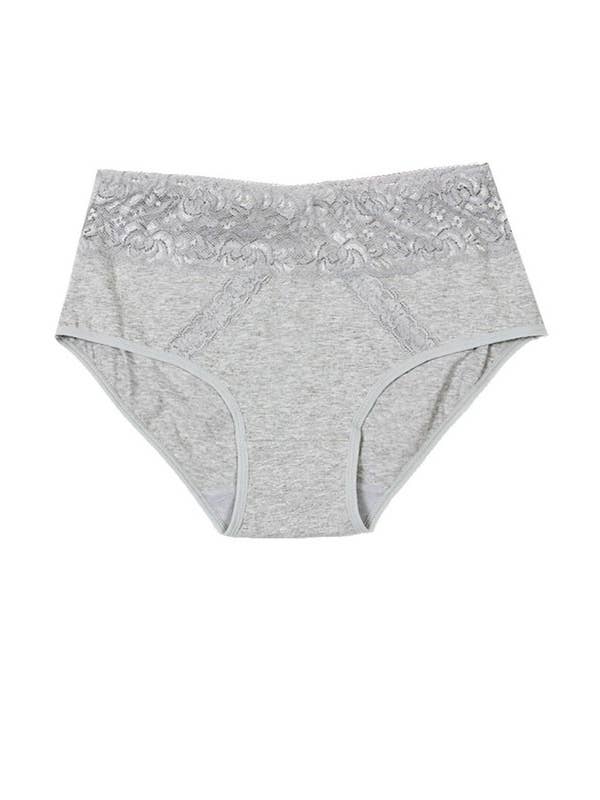 Assorted Color Dual Lace Panels Solid Full Brief-YM-70091-PTY-C04 for wholesale on Faire6