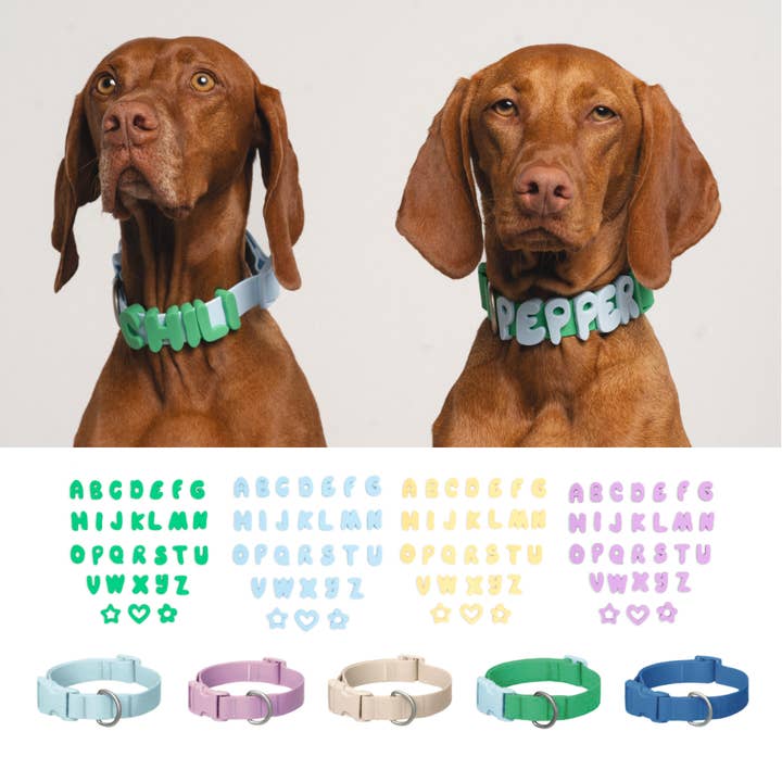Silicone Dog Charms + Collar Set, Personalized Dog Collars for wholesale by Springland Pets