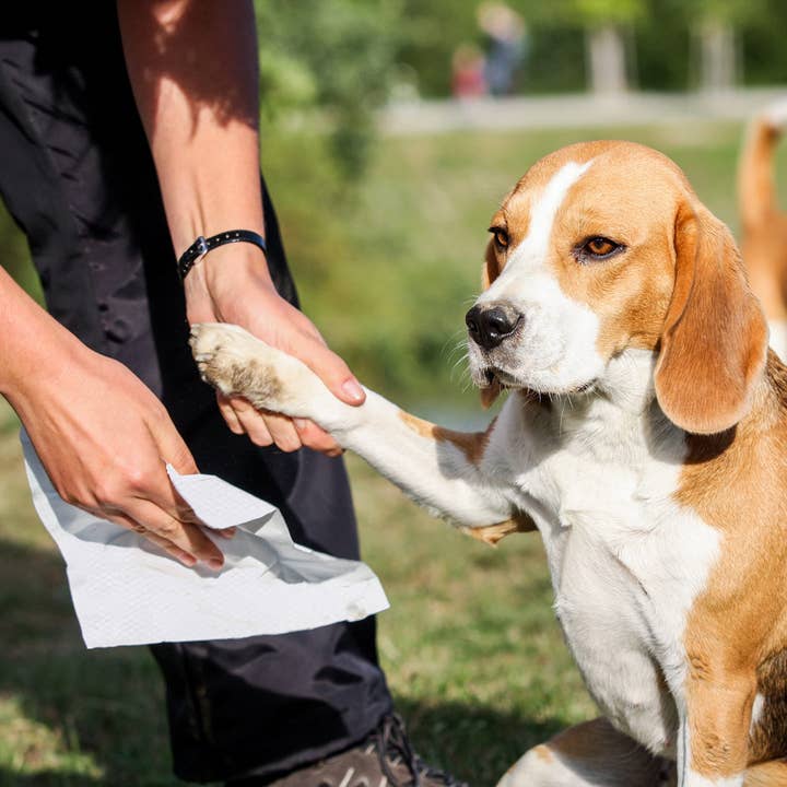 Inspire - Vente Produit de toilettage – chien - Lingettes pour animaux de compagnie Inspire Naturals, 50 unités