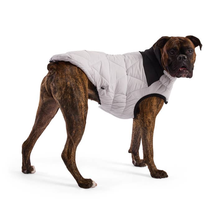 GF Pet - Wholesale Pet Coat - Dog - Diamond Puffer18