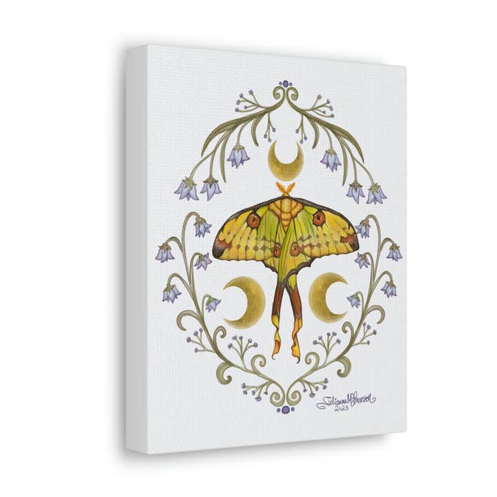 Madagascan Moon Moth 8x10 Canvas Art Print - Canvas Gallery Wraps for wholesale by Art By: Julianna McPherson