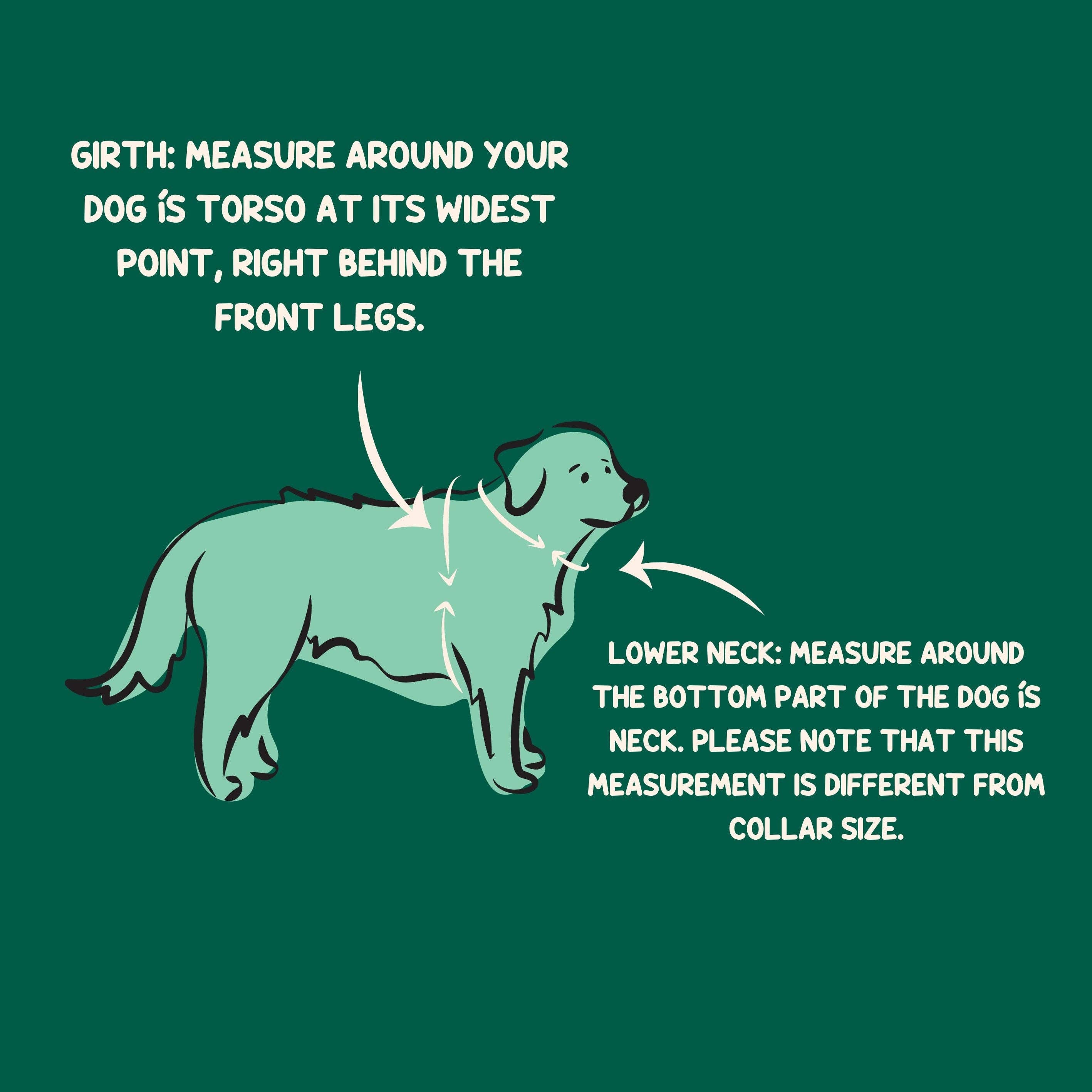 Wildside Dog Gear - Wholesale Pet Harness - Dog - Mt. Milly Dog Harness with Handle For Active Dogs 5