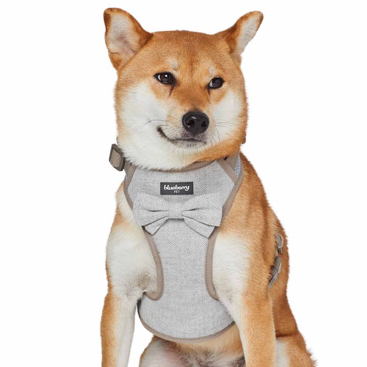 Blueberry Pet - Wholesale Pet Harness - Dog - Textured Tweed Dog Harness Vest