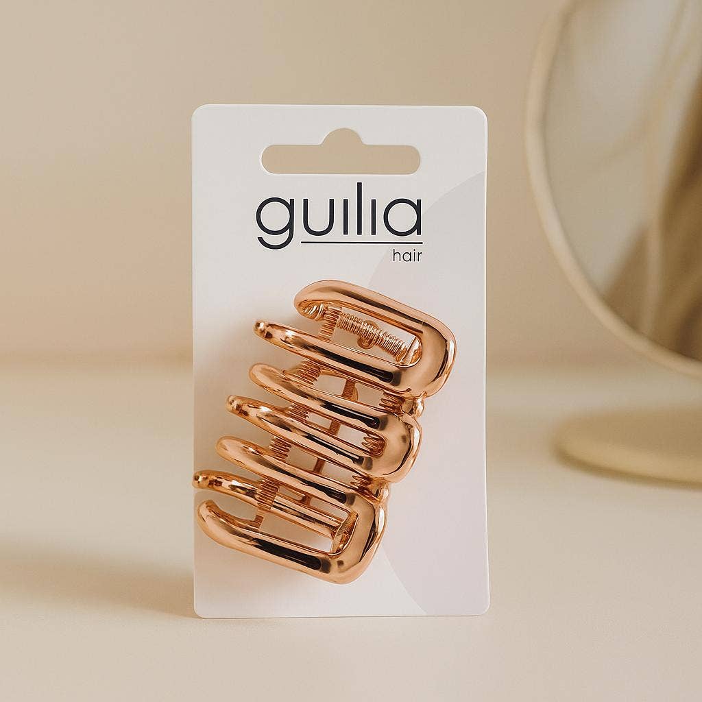 NHP International - Wholesale Hair Accessories Set - Women's - Mix of various trendy Guilia hair accessories - Hair clips, 3