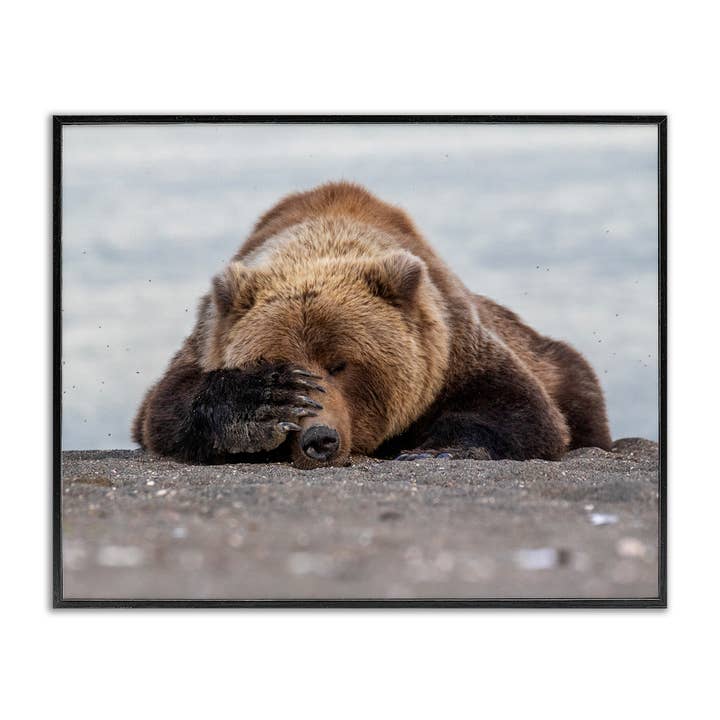 Monday Blues Bear - Framed Wall Art for wholesale by Stupell Industries