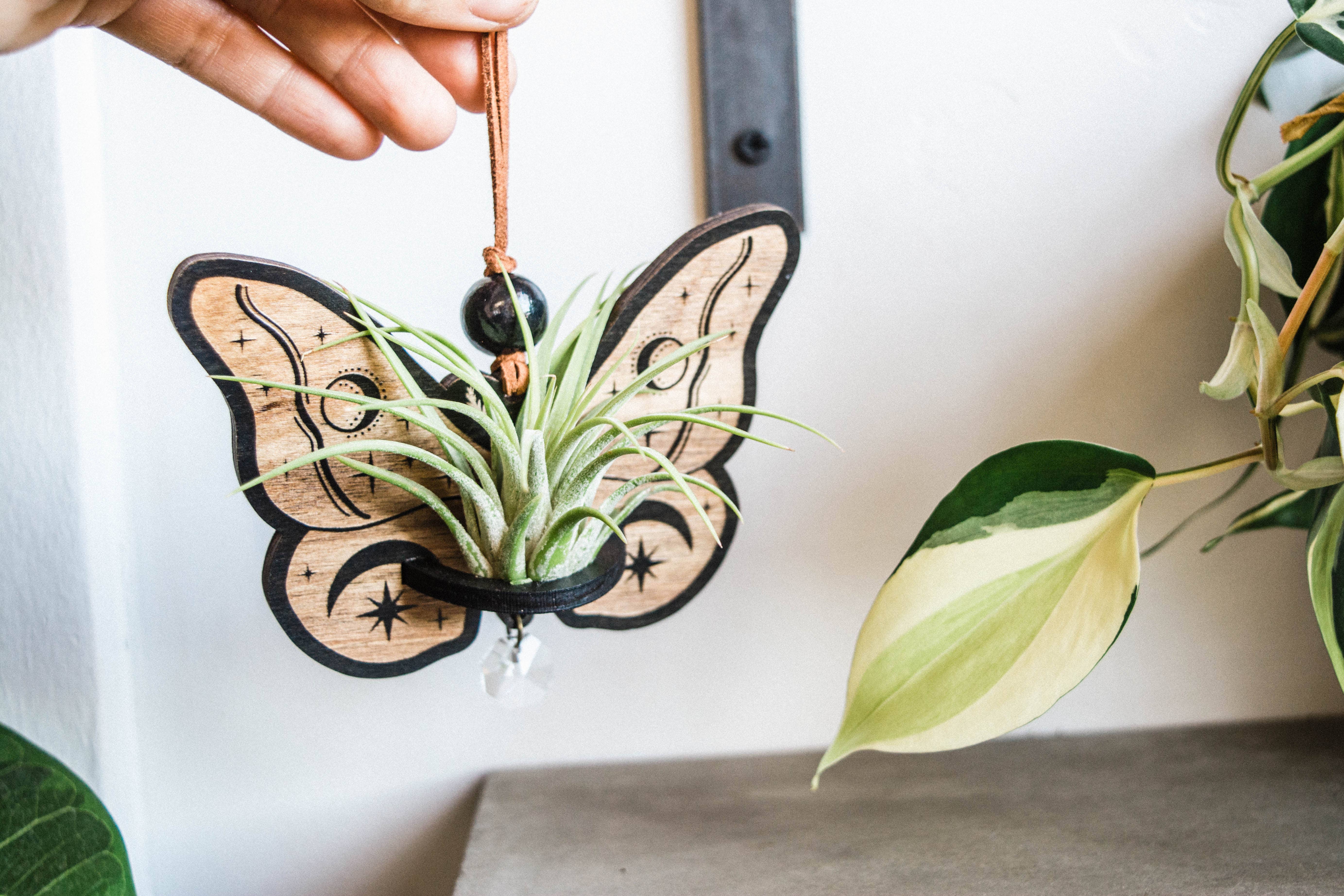 HEX Botanical - Wholesale Suncatcher - Celestial Moth Air Plant Hanger Suncatcher Crystal Prism 7