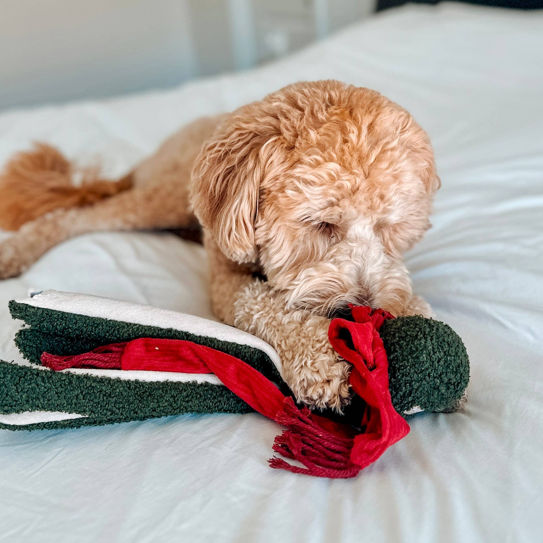 Lambwolf Collective - Wholesale Pet Squeaky Toy - Dog - TAKO//ENRICHMENT DOG TOY / HOLIDAY5