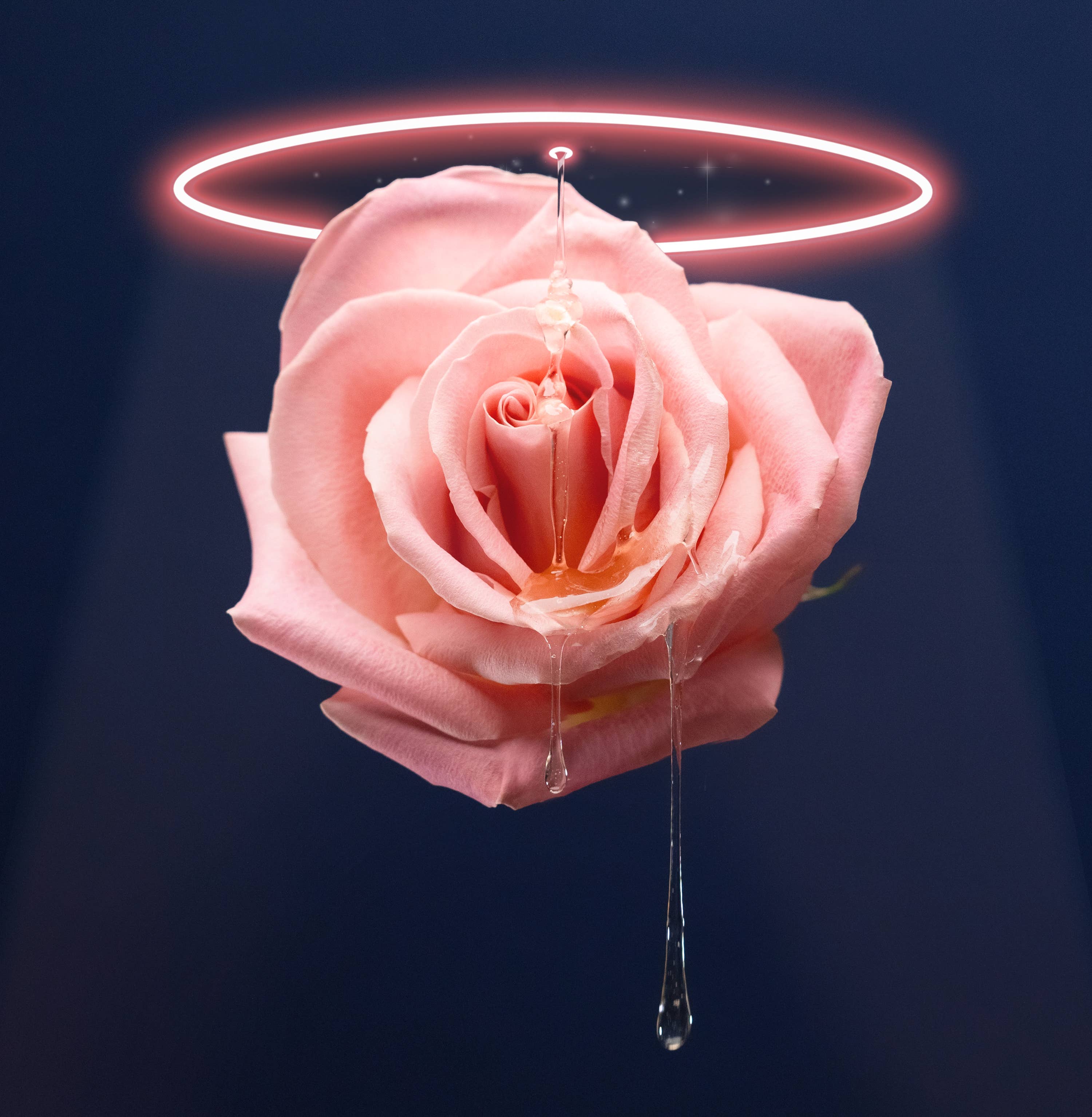 De Mello Coffee - Wholesale Coffee Beans - De Mello Ethiopian Habtamu F. Aga (Coffee Beans)2