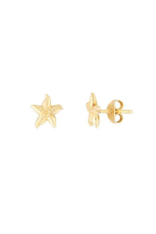 NIBI MTK – wholesale Solitärörhängen – fyb Starfish Studs1
