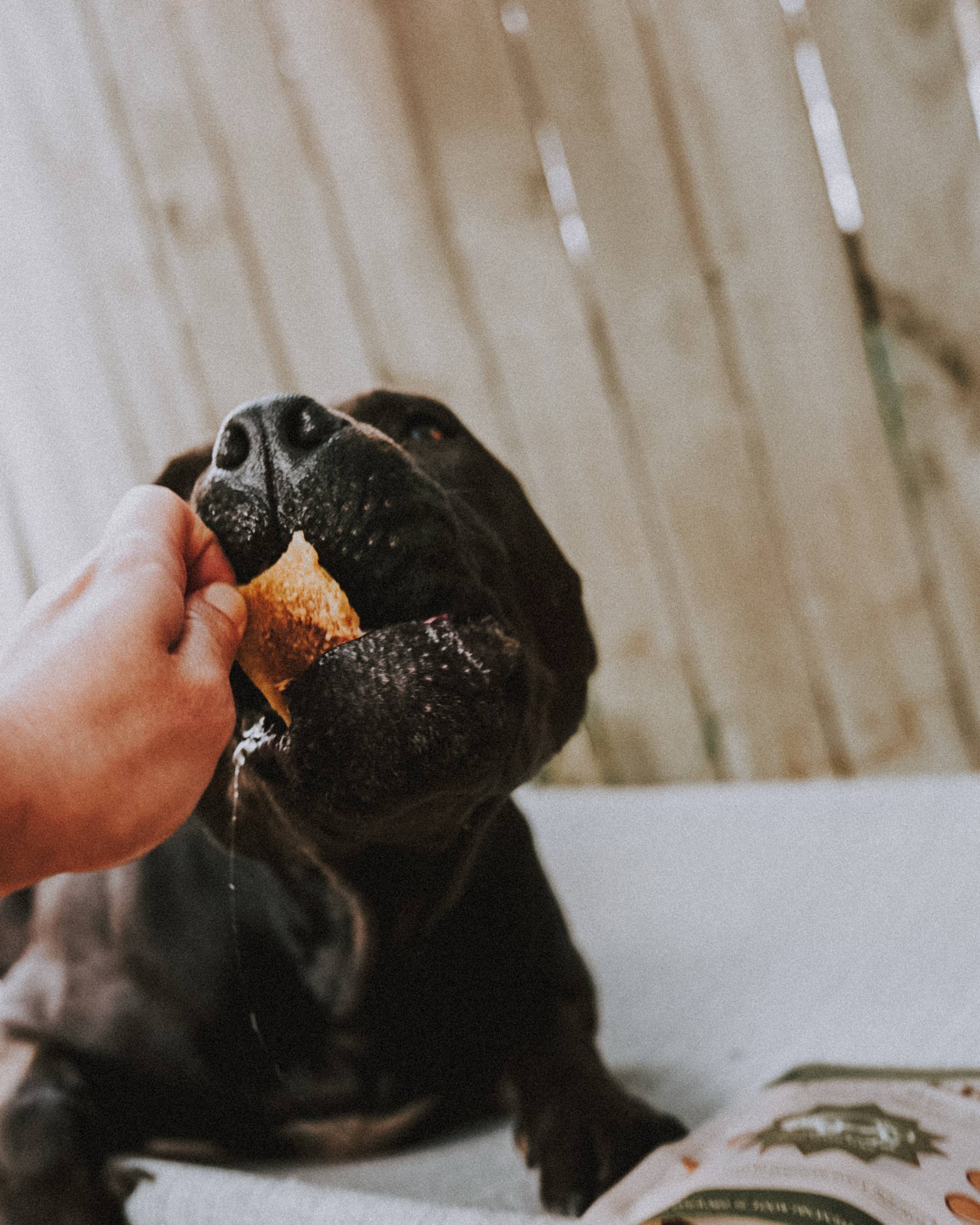 Litto Howler – wholesale Pet treats – Dog – Bison Green Tripe | 3 oz  2