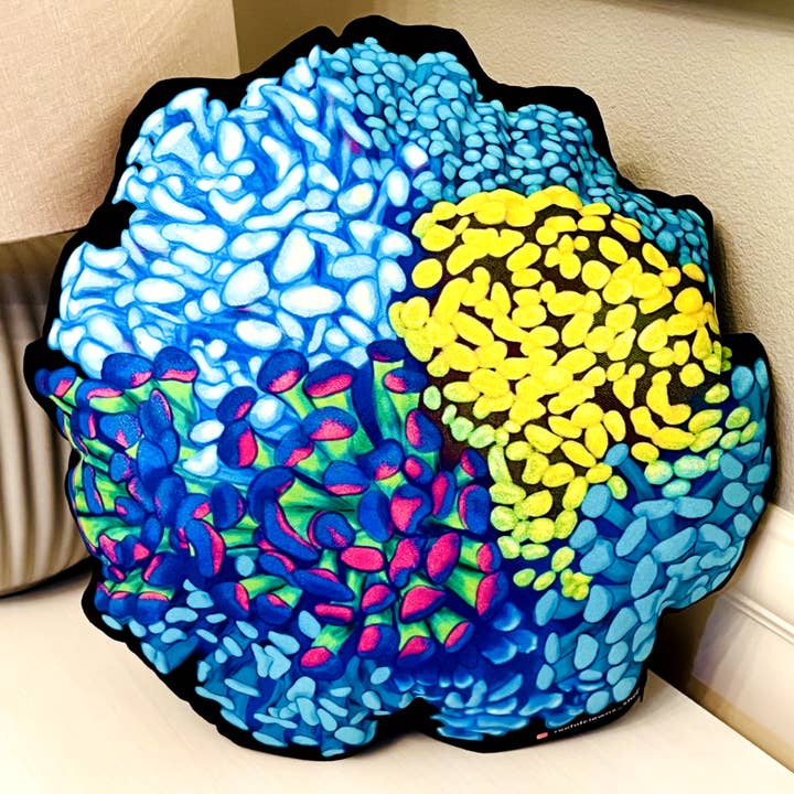 Almofada Coral Martelo por atacado de Reef of Clowns