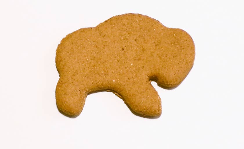 North Woods Animal Treats and Gifts - Wholesale Pet Treats - Dog - Display Crate REFILL (no crate), 36 cookies, Bacon Buffalo