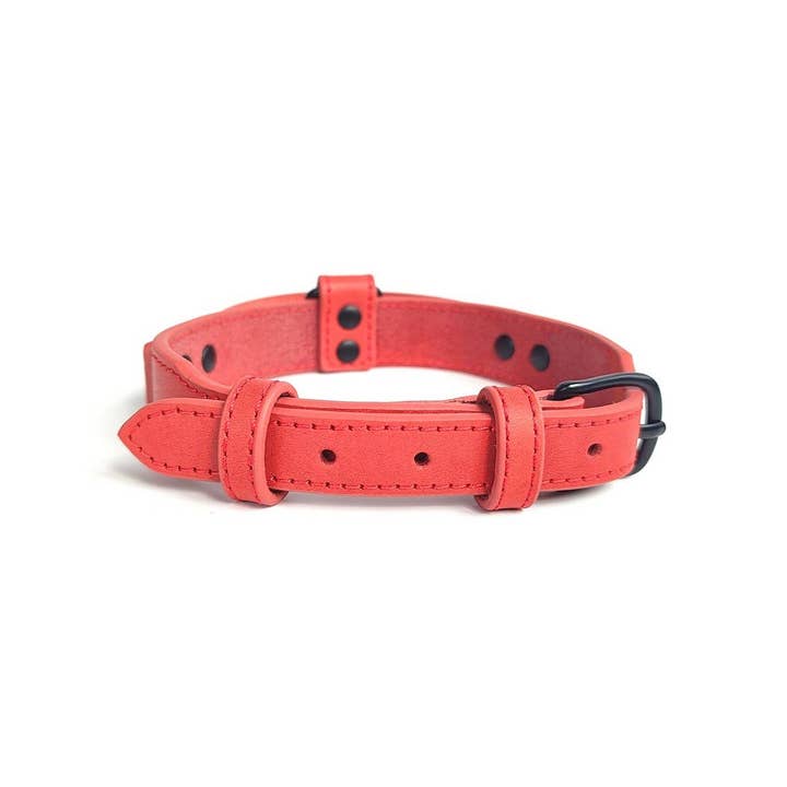PAWPAWwholesale - Wholesale Pet Collar - Dog - Tactical Leather Dog Collar with Control Handle_CWMM77223