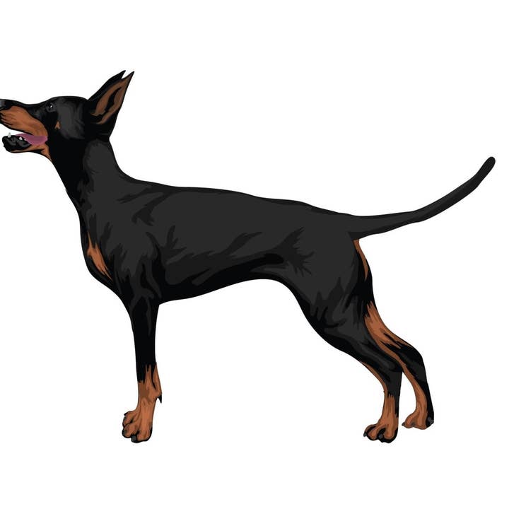 Cover-Alls Decals - Wholesale Wall Decal/Stickers - Doberman Pinscher Decals1