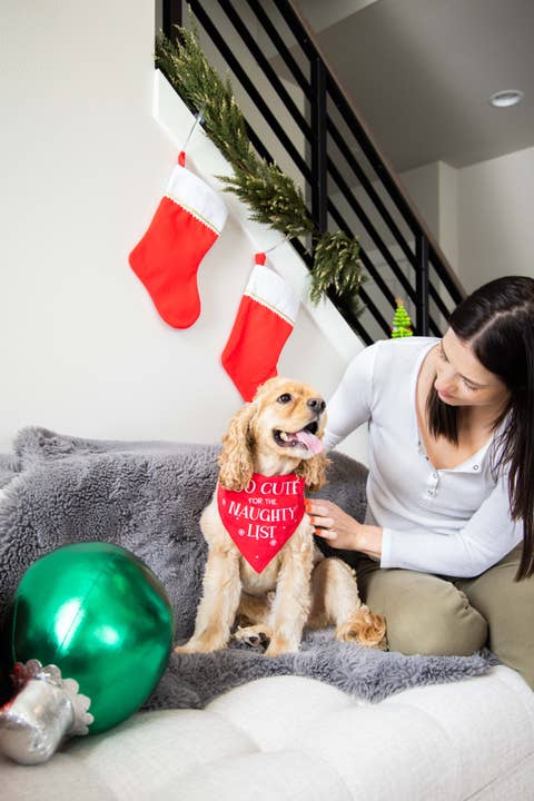 Pet Palette Distribution - Wholesale Pet Bandana - Dog - Pearhead "Too Cute For the Naughty List" Bandana