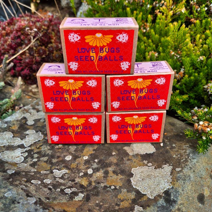 Sussex Seed Balls - Wholesale Plant seeds - Love Bugs seed ball gift box, with two wildflower seed balls1