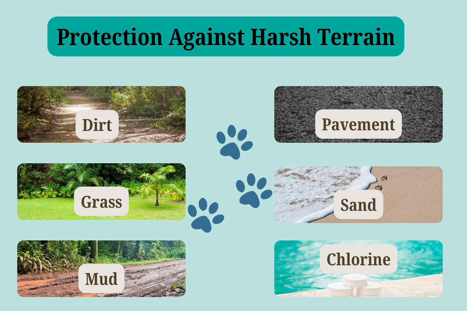 Cocolicious Beauty - Wholesale Pet Paw Protection - All-Natural Pet Balm for Soothing & Protection – Paws, Nose & Cracked Skin, 2oz Tin or Balm Bar7