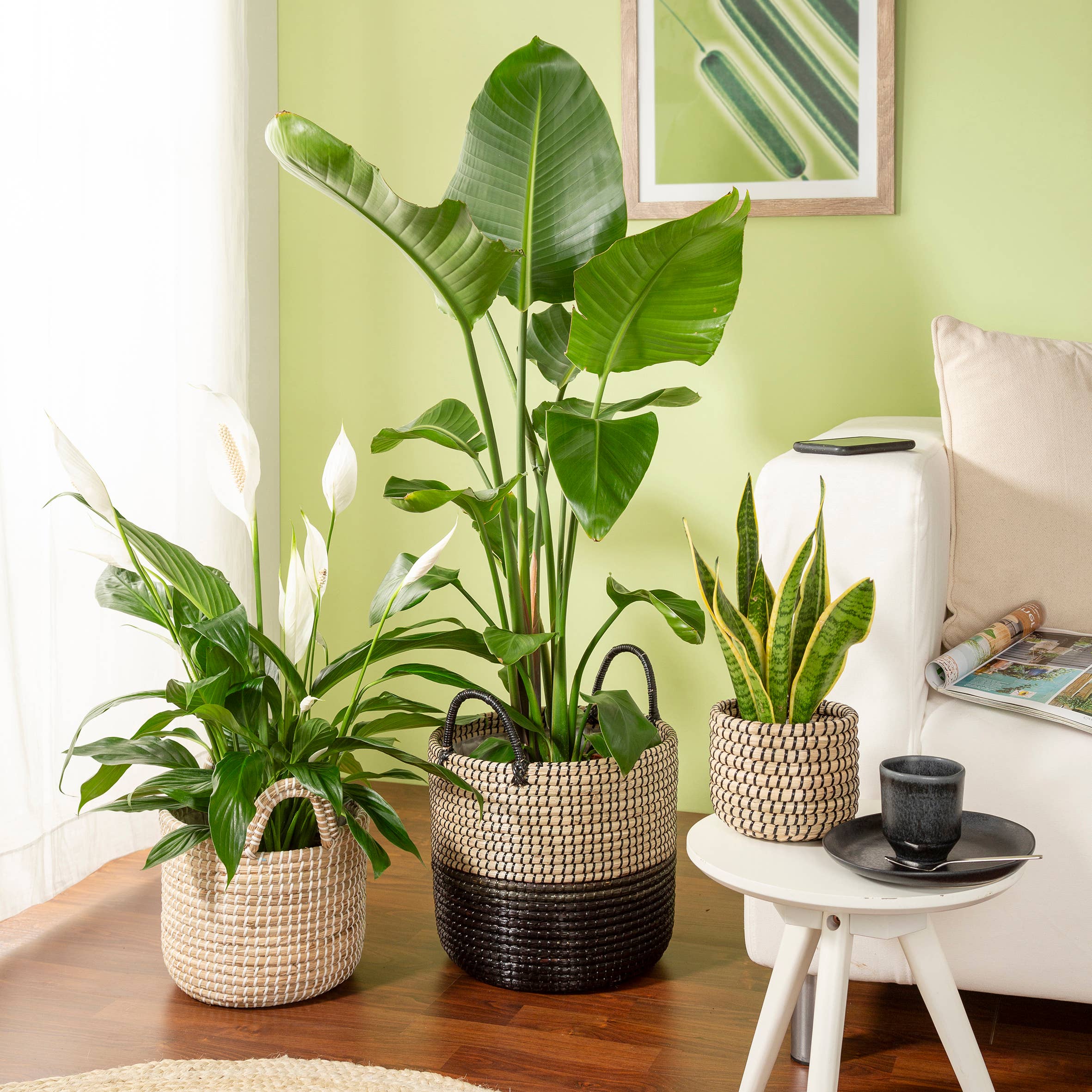 Nature Black Korbgefäß/Pflanzgefäß 515 Aus Seegras für den Großhandel auf Faire3