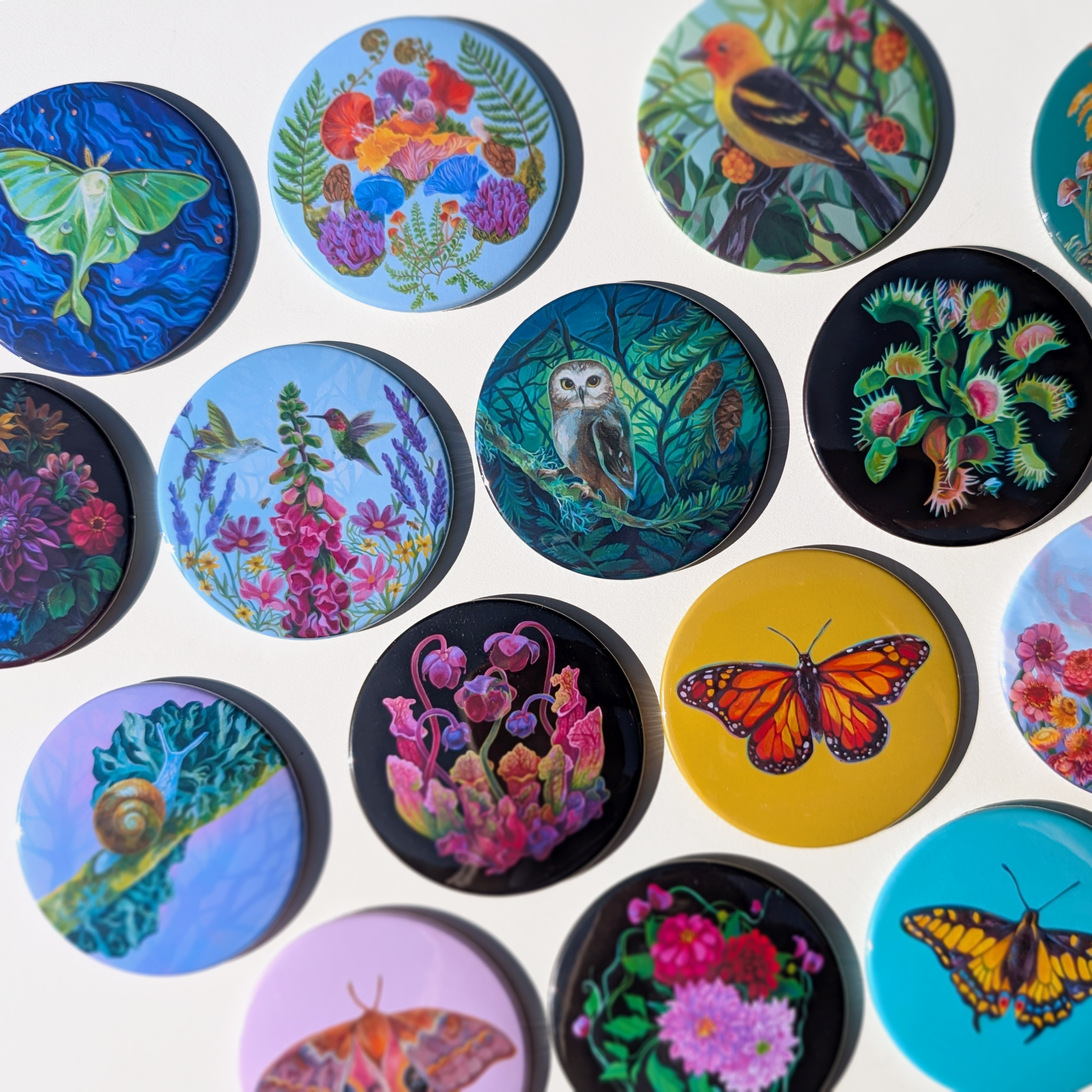 Marigold Art Studios - Wholesale Magnet - Luna Moth Nature Art Magnet 3" round 4