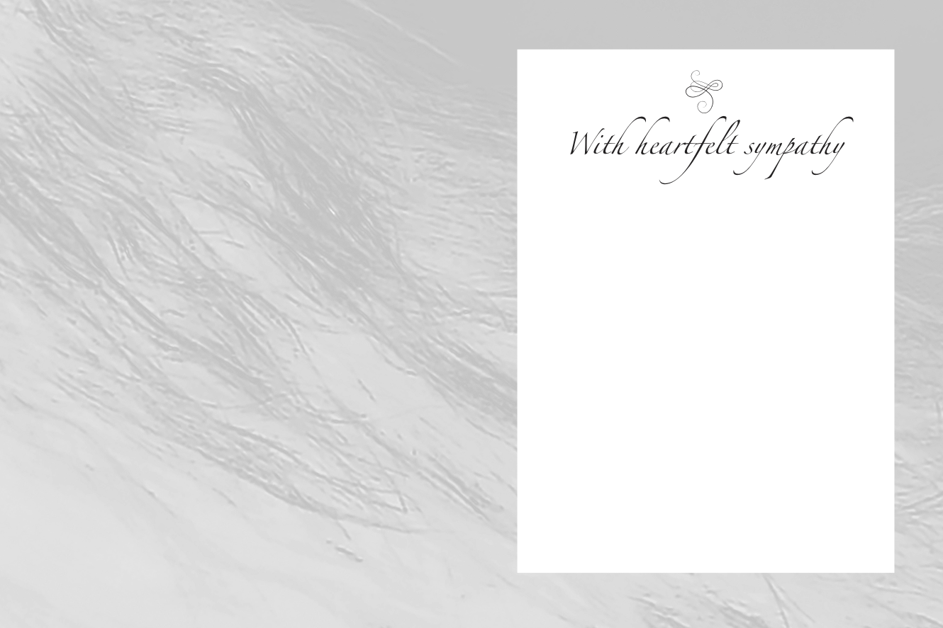 Horse Hollow Press - Wholesale Sympathy Card - Horse Sympathy Greeting Card / Running with the Greats... 7