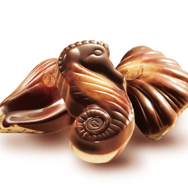 Belgium's Chocolate Source - Wholesale Chocolate Box - Guylian Praline Seashells - 22 Pc. Box (250g, 12/case)5