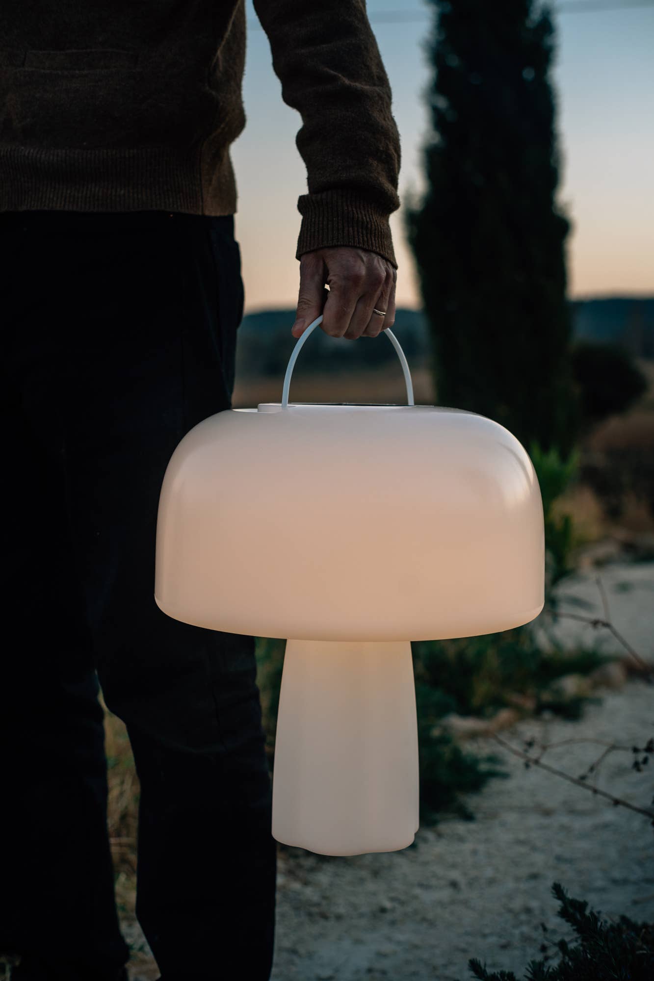 Goodnight Light - Wholesale Accent/Desk Lamp - The Boleti Lamp - Solar powered, portable lamp13