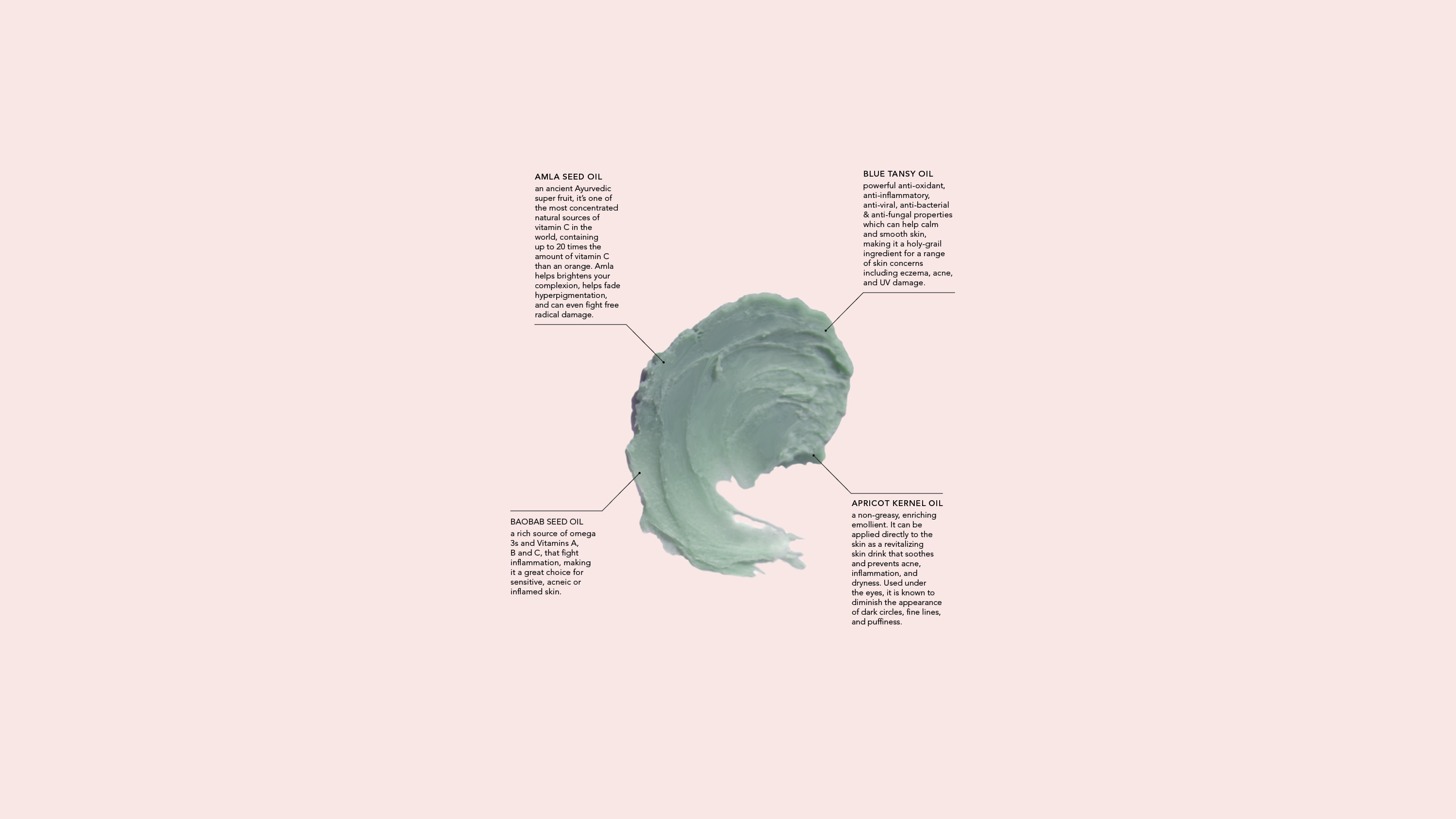 Lanativ - Wholesale Night Cream - Concentrated Sleeping Cream: Blue Tansy Reparative Balm8