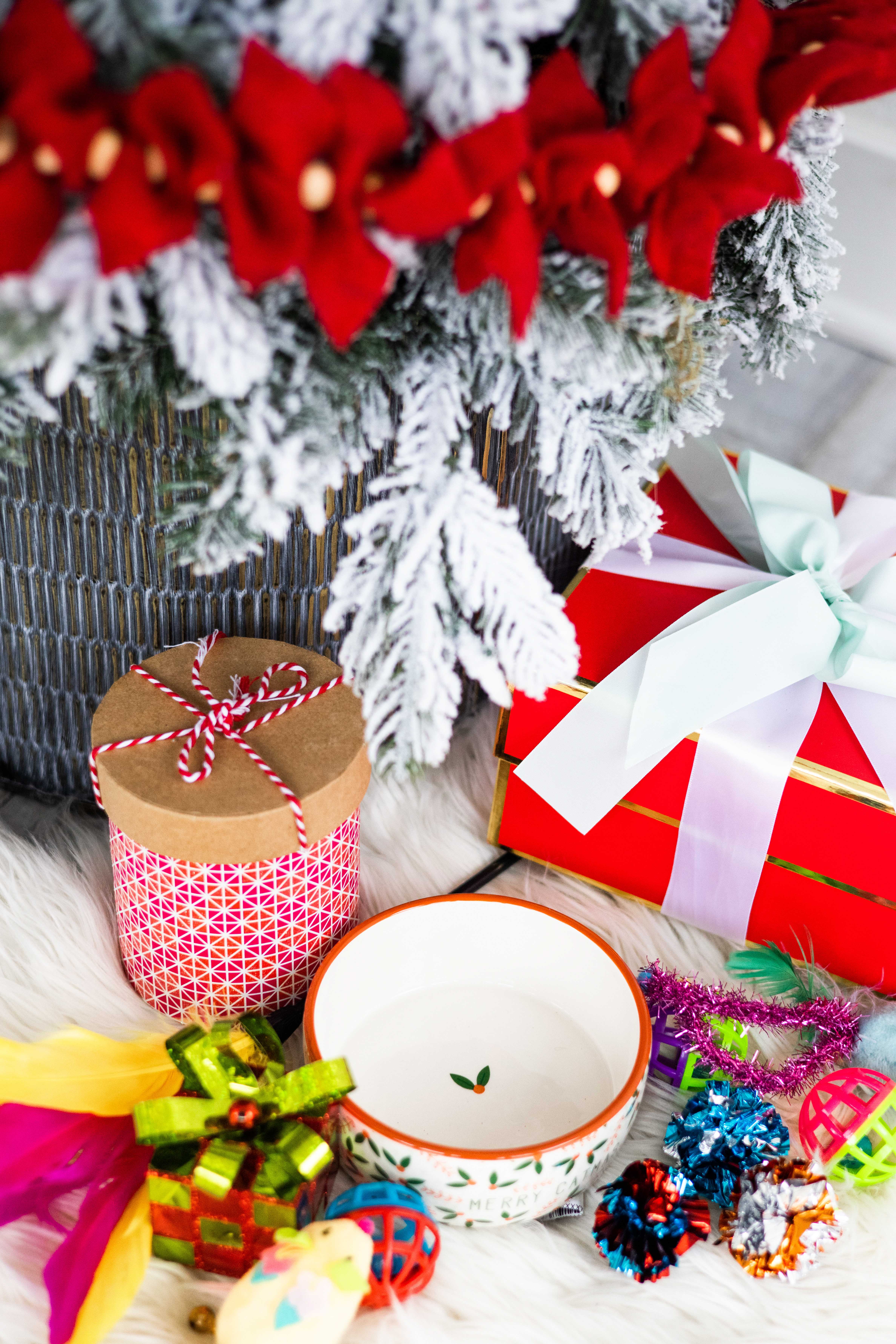 Pearhead - Vente Gamelle – chat et chien - Joyeux Catmas, Fête des Chats et Gamelle de Noël4