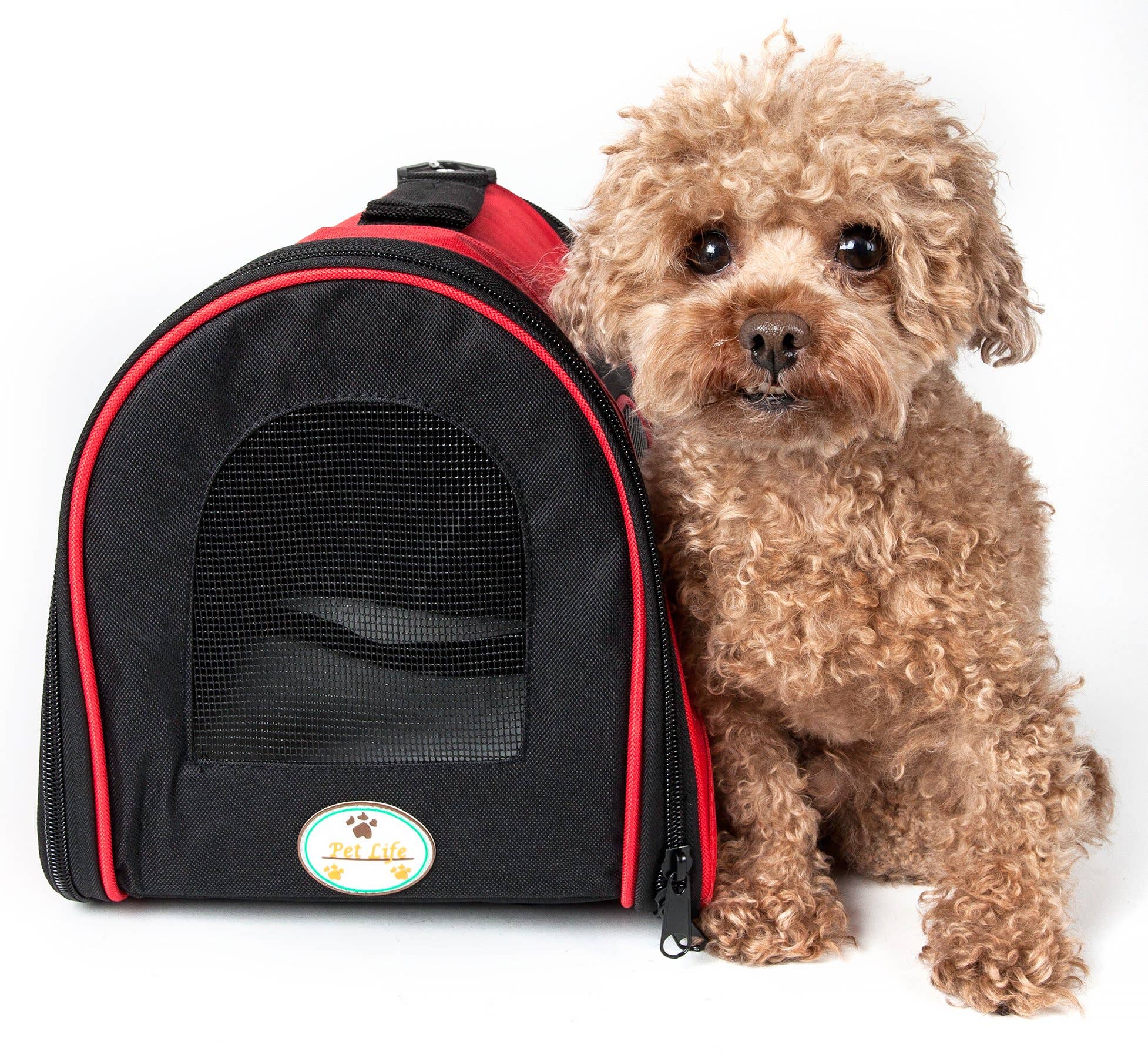 Pet Life - Vente Caisse de transport – chat et chien - Porte-animaux de compagnie pliable à fermeture éclair pour animaux de compagnie aérienne9