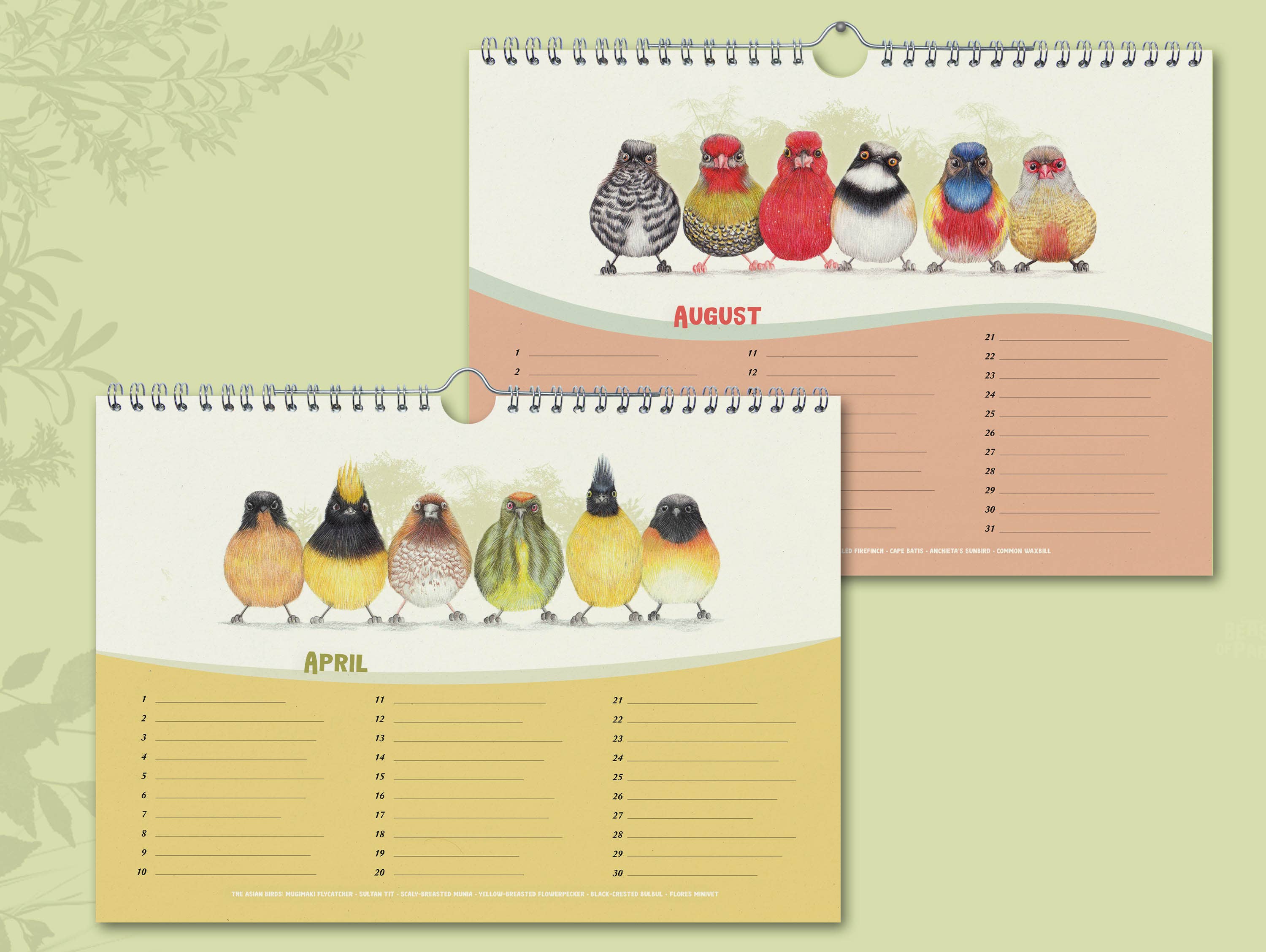 Beast of Paradise - Wholesale Calendar - Birthday Calendar, Perpetual Calendar, Bird Calendar, Animal6