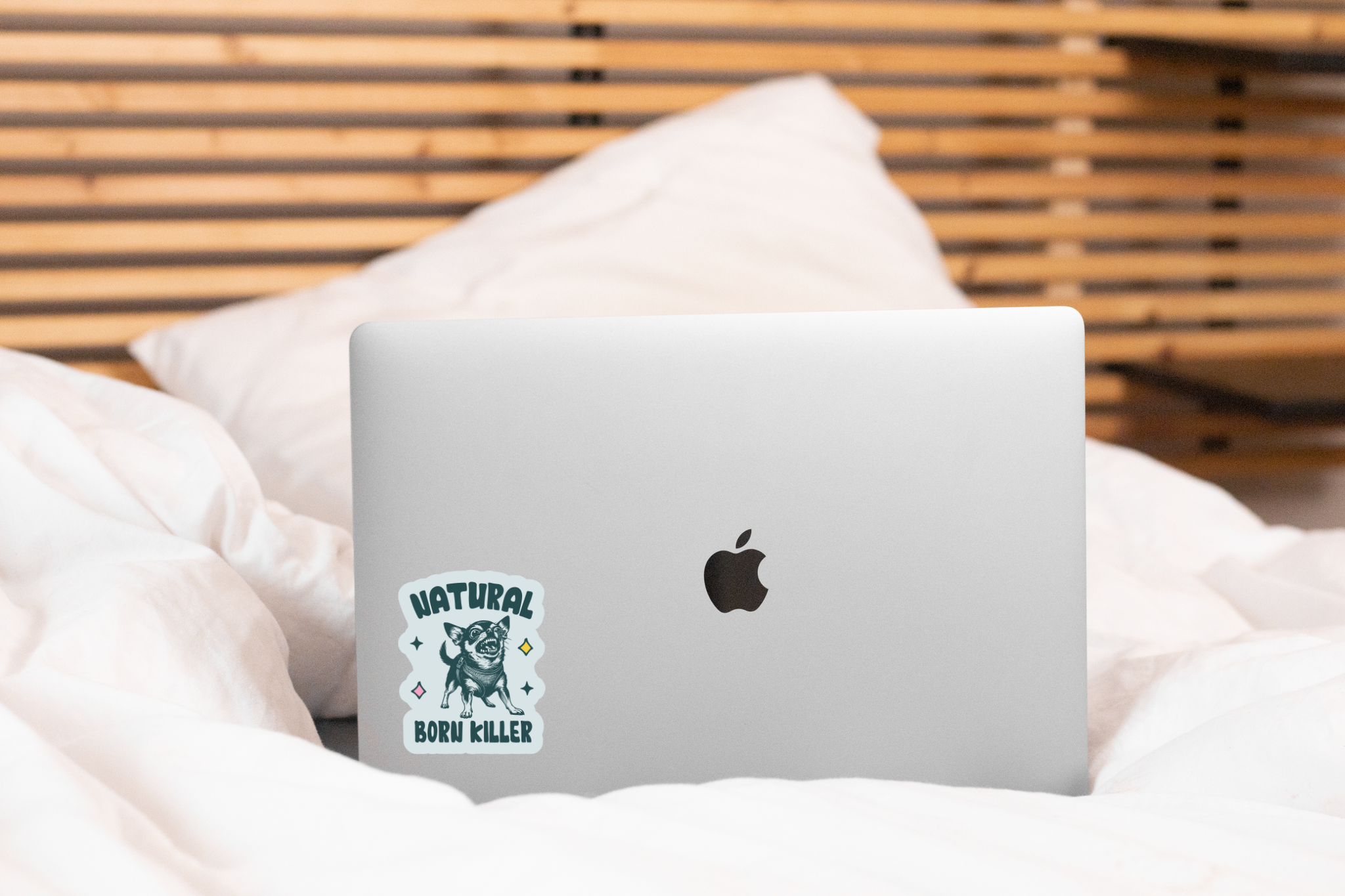 Yarnival - Wholesale Sticker - Natural Born Killer Sticker - chihuahua, yipper, small dog2