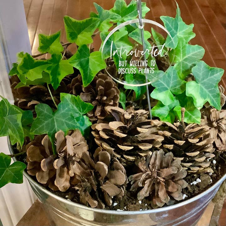 Crawford Custom Engraving - Wholesale Garden/Lawn Stake - Plant and Garden Markers, Plant Puns, Funny Plant Markers2