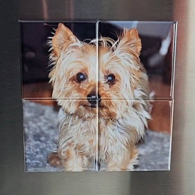 Magnet Mosaic - 4 piece for wholesale by Love, Alex Co.