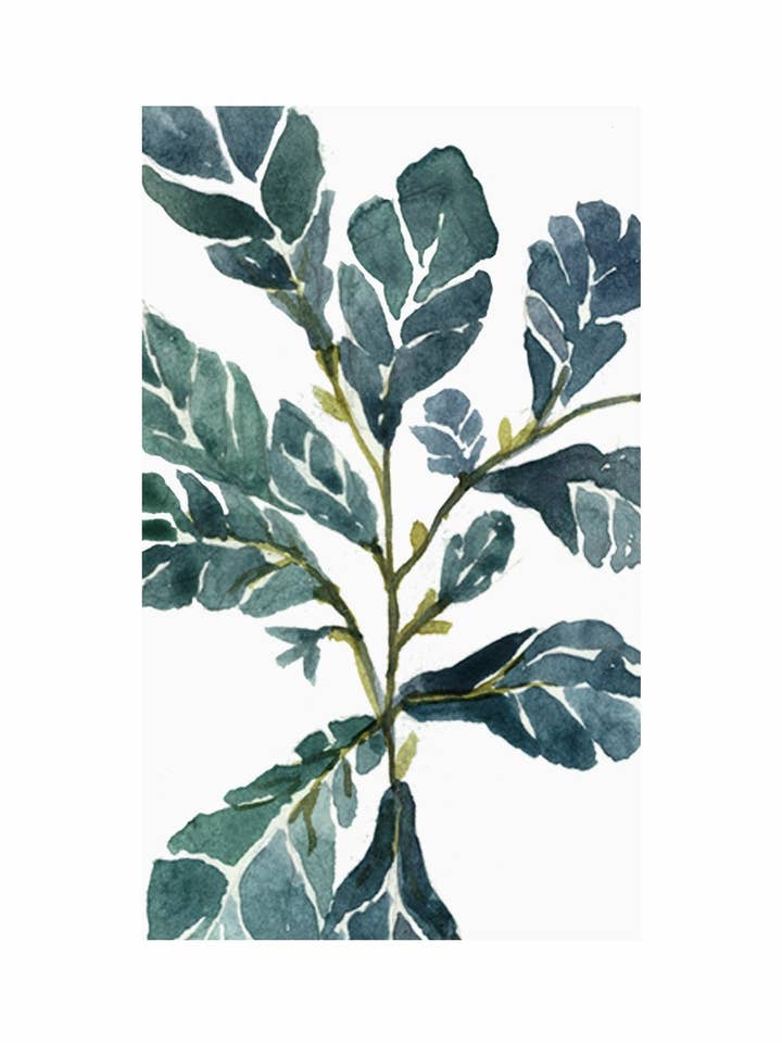 Fiolfikus - Hälsningskort för wholesale av Maria Zvaric Illustration